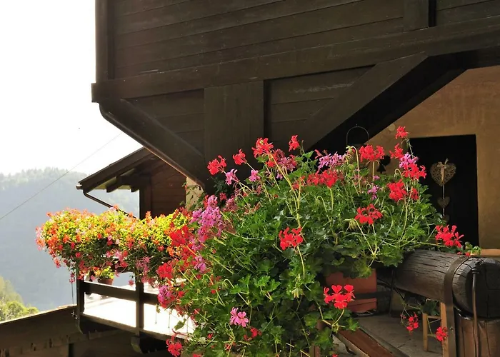 B&B il Sambuco