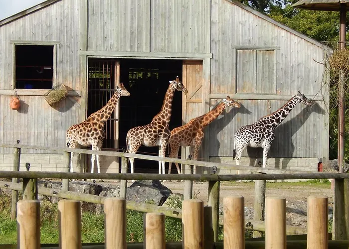 Flamingo Land - Woodlands W42