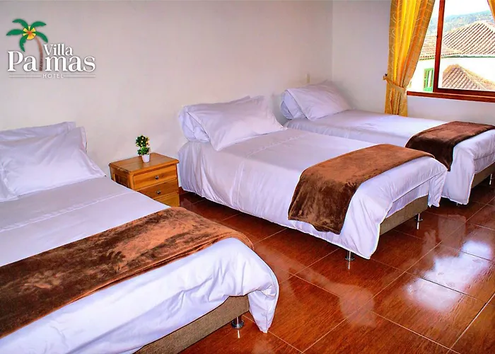 Hotel Villa Palmas